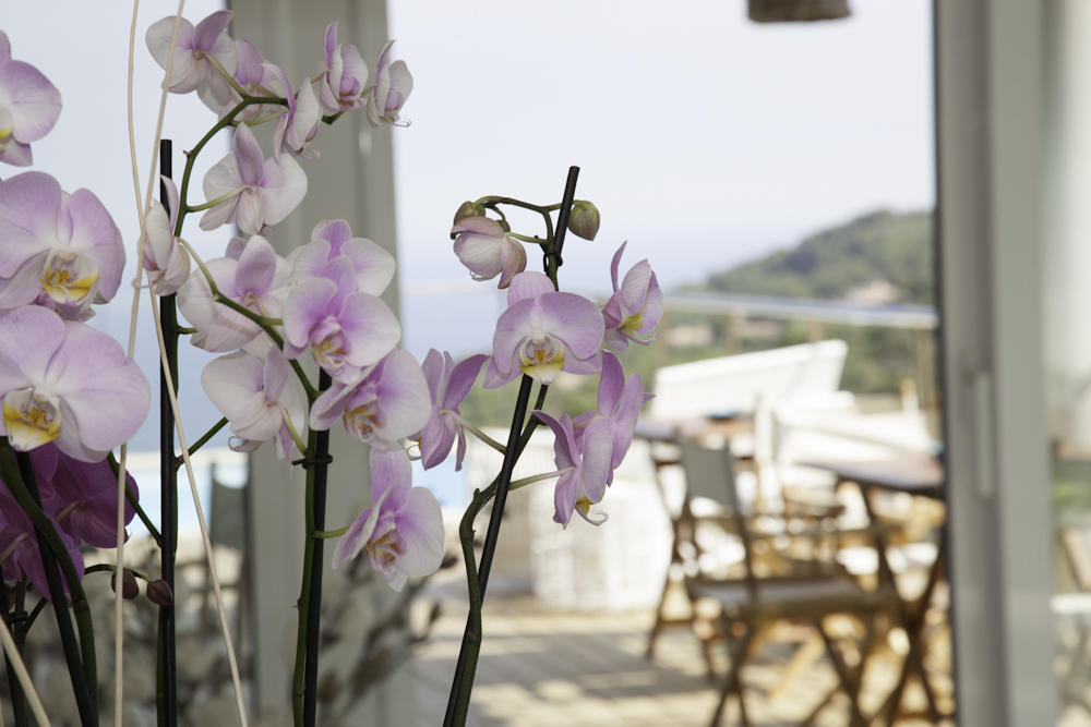 Es Cel De Begur Hotel Номер фото